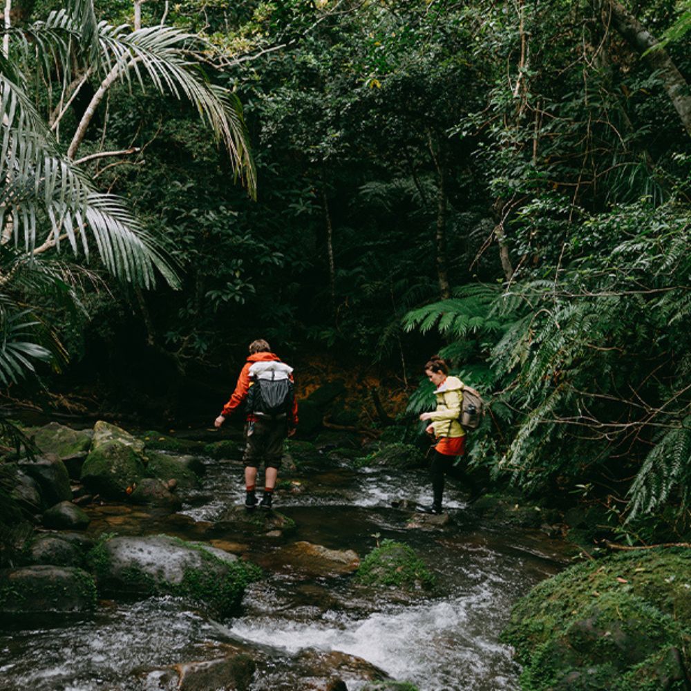 Tougher than the rest