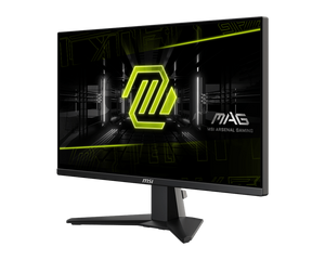 MSI 25" MAG 255F E20 Rapid IPS Gaming Monitor - Mansa Computers