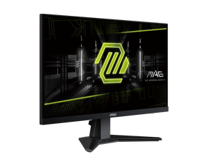 MSI 25" MAG 256F Rapid IPS Gaming Monitor - Mansa Computers