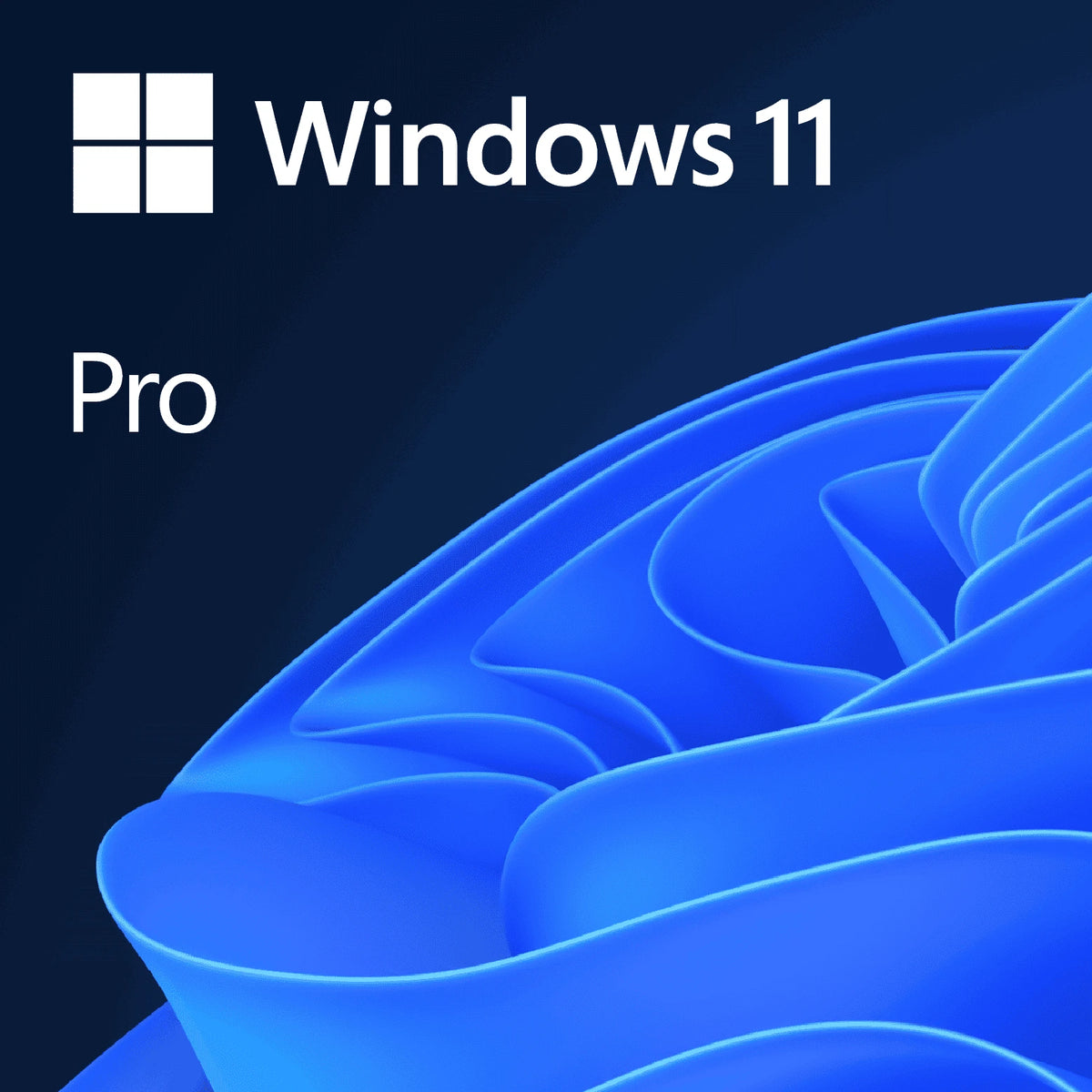 Microsoft Windows 11 Pro 64-bit English (OEM)