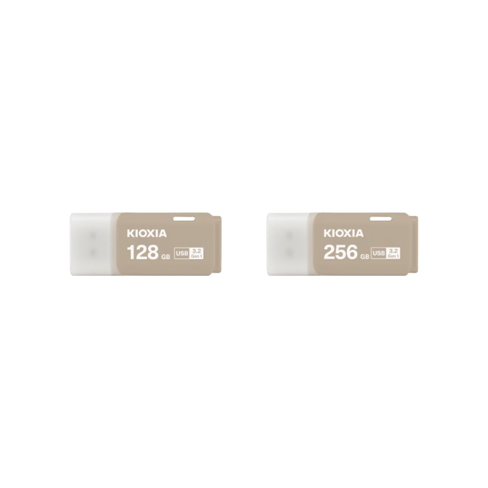 Kioxia Gray TransMemory U301 USB Flash Drive - Mansa Computers