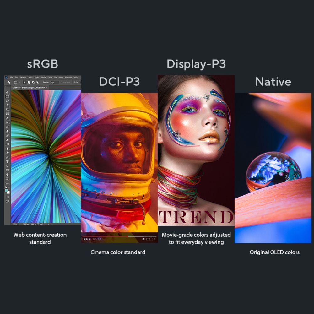 Customizable color gamut for every need