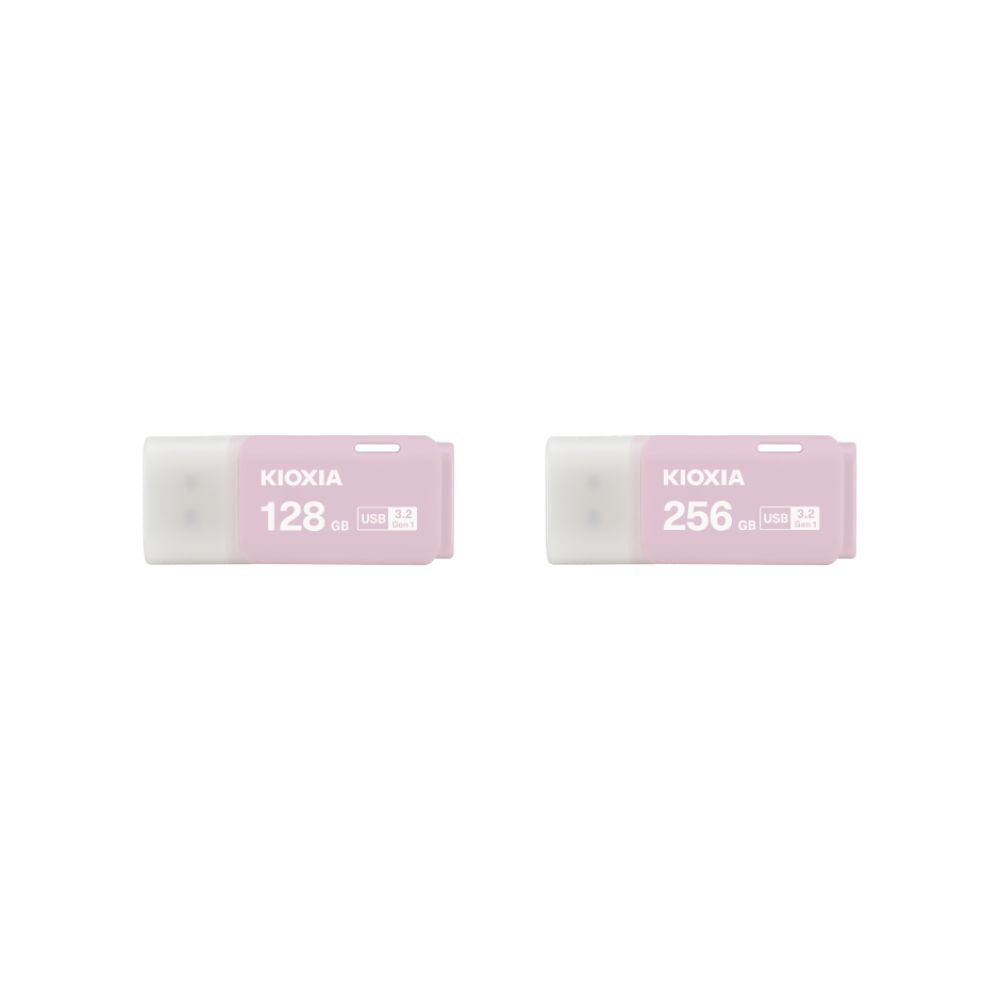 Kioxia Pink TransMemory U301 USB Flash Drive - Mansa Computers