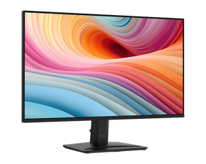 MSI 25" PRO MP251 E2 IPS Gaming Monitor
