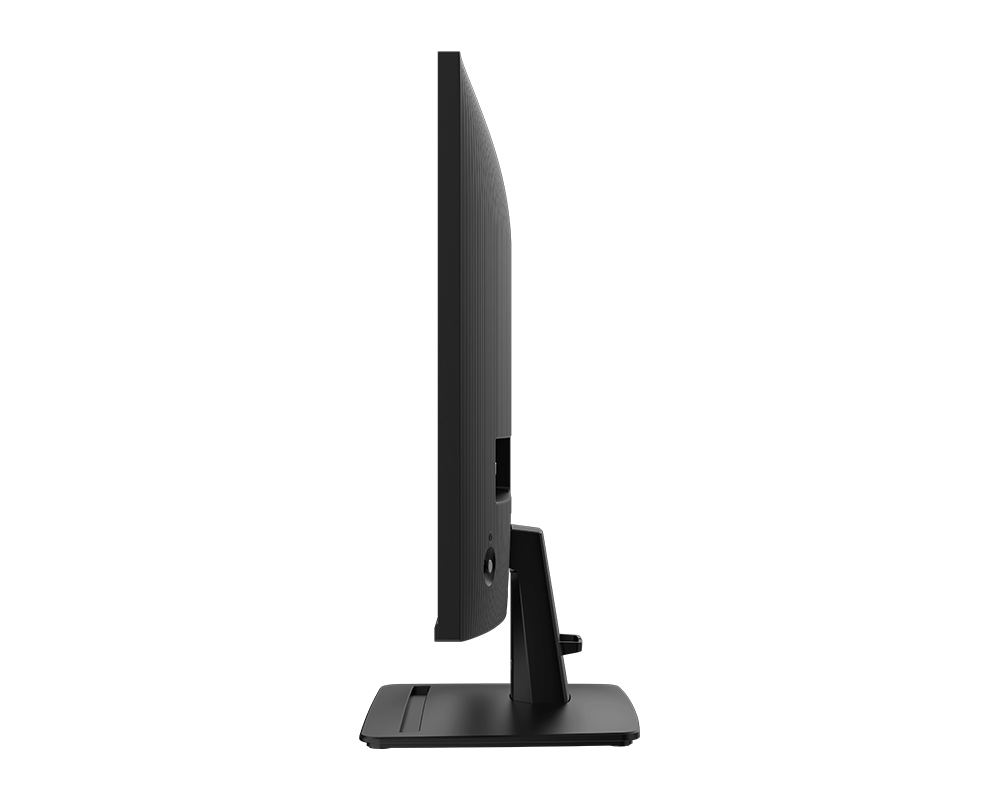 MSI 25" PRO MP251 E2 IPS Gaming Monitor - Mansa Computers