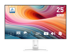 MSI 25" PRO MP251W E2 IPS Gaming Monitor