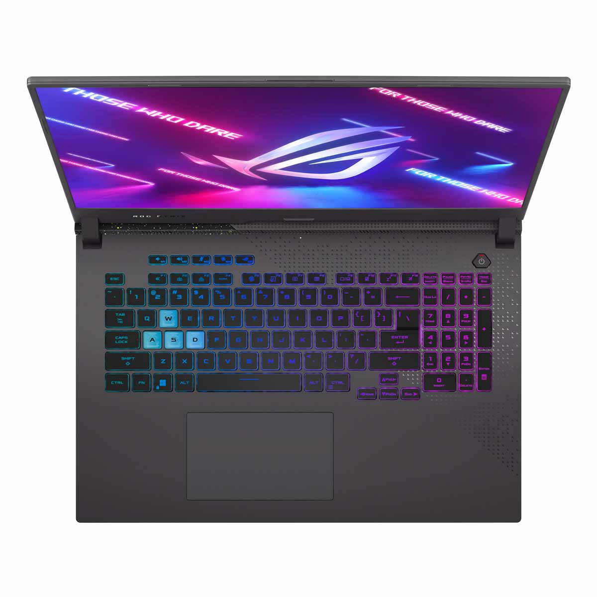 ASUS ROG Strix G17 G713RM RTX3060